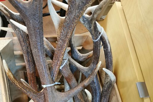 Brockenhaus Olten - Brockenhaus Wangen bei Olten - Brockenhaus Kappel - Brockenhaus Rickenbach - Brockenhaus Hägendorf - Brockenhaus Egerkingen - Brockenhaus Trimbach - Brockenhaus Starkirch - Brockenstube Olten - Brockenstube Wangen bei Olten - Brockenstube Kappel - Brockenstube Rickenbach - Brockenstube Hägendorf - Brockenstube Egerkingen - Brockenstube Trimbach - Brockenstube Starkirch - Hausräumung Olten - Hausräumung Wangen bei Olten - Hausräumung Kappel - Hausräumung Rickenbach - Hausräumung Hägendorf - Hausräumung Egerkingen - Hausräumung Trimbach - Hausräumung Starkirch - Wohnungsauflösung Olten - Wohnungsauflösung Wangen bei Olten - Wohnungsauflösung Kappel - Wohnungsauflösung Rickenbach - Wohnungsauflösung Hägendorf - Wohnungsauflösung Egerkingen - Wohnungsauflösung Trimbach - Wohnungsauflösung Starkirch