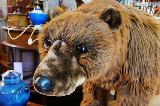 Brockenhaus Olten - Brockenhaus Wangen bei Olten - Brockenhaus Kappel - Brockenhaus Rickenbach - Brockenhaus Hägendorf - Brockenhaus Egerkingen - Brockenhaus Trimbach - Brockenhaus Starkirch - Brockenstube Olten - Brockenstube Wangen bei Olten - Brockenstube Kappel - Brockenstube Rickenbach - Brockenstube Hägendorf - Brockenstube Egerkingen - Brockenstube Trimbach - Brockenstube Starkirch - Hausräumung Olten - Hausräumung Wangen bei Olten - Hausräumung Kappel - Hausräumung Rickenbach - Hausräumung Hägendorf - Hausräumung Egerkingen - Hausräumung Trimbach - Hausräumung Starkirch - Wohnungsauflösung Olten - Wohnungsauflösung Wangen bei Olten - Wohnungsauflösung Kappel - Wohnungsauflösung Rickenbach - Wohnungsauflösung Hägendorf - Wohnungsauflösung Egerkingen - Wohnungsauflösung Trimbach - Wohnungsauflösung Starkirch