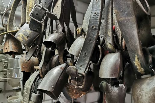 Brockenhaus Olten - Brockenhaus Wangen bei Olten - Brockenhaus Kappel - Brockenhaus Rickenbach - Brockenhaus Hägendorf - Brockenhaus Egerkingen - Brockenhaus Trimbach - Brockenhaus Starkirch - Brockenstube Olten - Brockenstube Wangen bei Olten - Brockenstube Kappel - Brockenstube Rickenbach - Brockenstube Hägendorf - Brockenstube Egerkingen - Brockenstube Trimbach - Brockenstube Starkirch - Hausräumung Olten - Hausräumung Wangen bei Olten - Hausräumung Kappel - Hausräumung Rickenbach - Hausräumung Hägendorf - Hausräumung Egerkingen - Hausräumung Trimbach - Hausräumung Starkirch - Wohnungsauflösung Olten - Wohnungsauflösung Wangen bei Olten - Wohnungsauflösung Kappel - Wohnungsauflösung Rickenbach - Wohnungsauflösung Hägendorf - Wohnungsauflösung Egerkingen - Wohnungsauflösung Trimbach - Wohnungsauflösung Starkirch